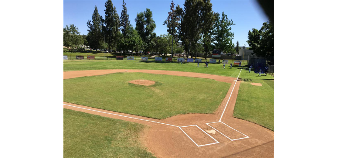 Field 1